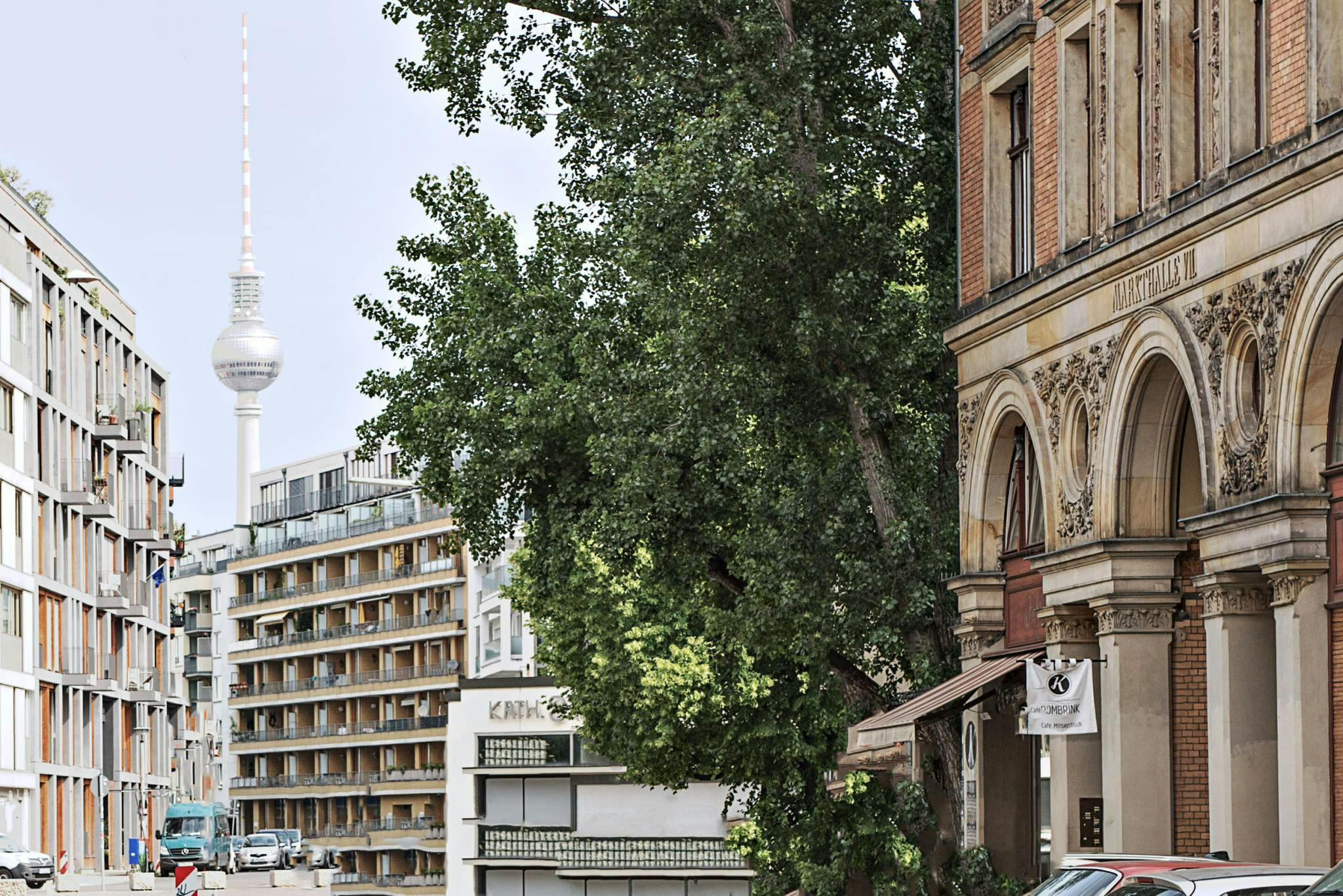 The image features a city street with tall buildings, a large tree, and a large tree in the middle of the street.