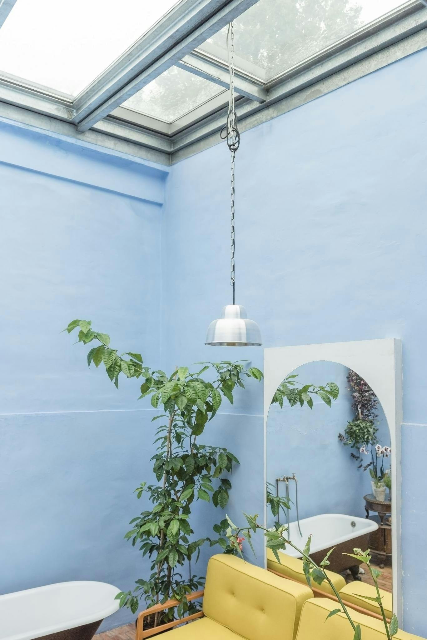 The image features a bathroom with a blue wall, a white bathtub, a mirror, a toilet, and a potted plant.