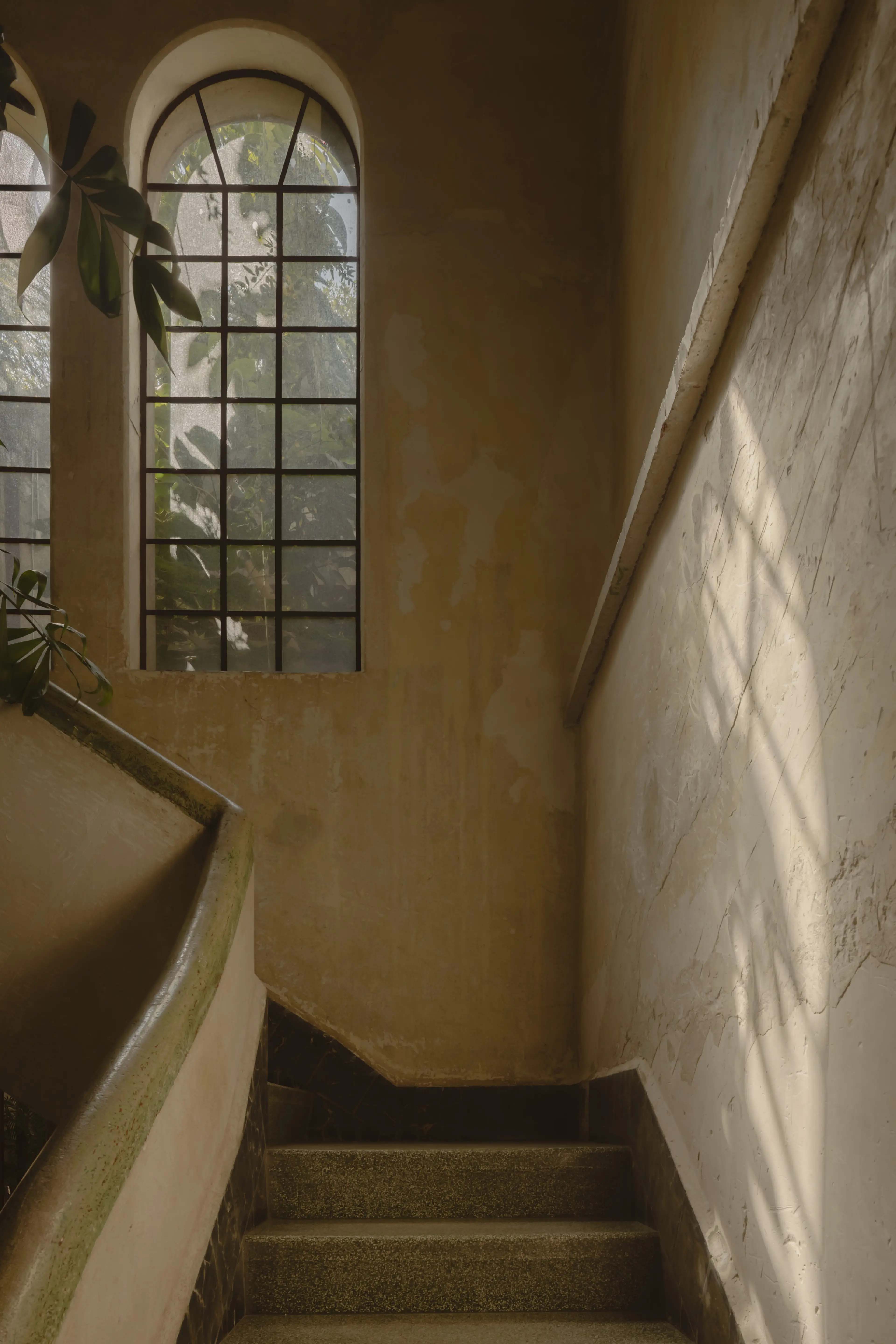 FantasticFrank Office